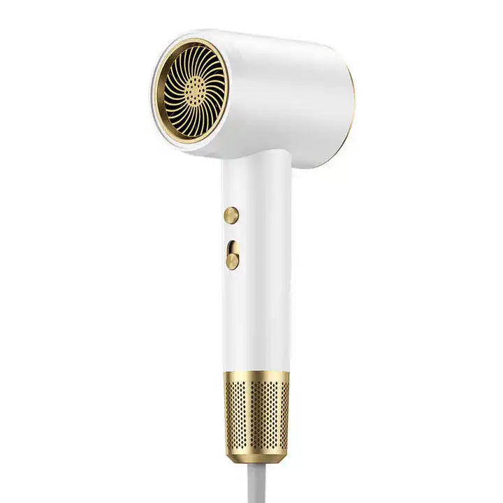 Efficient Hair Dryer with Adjustable Heat