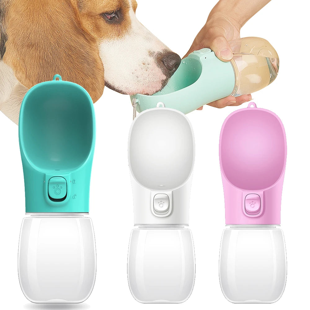 Portable Pet Water Bottle & Bowls